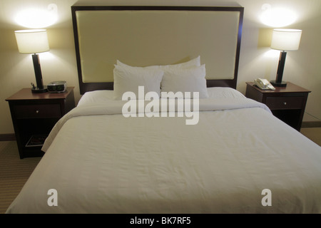 Alexandria Virginia, Altstadt, Crowne Plaza, Hotel, Hotelkette, Gästezimmer, Kingsize-Bett, Bettwäsche, Kissen, Lampe, Nachttisch, VA100224008 Stockfoto