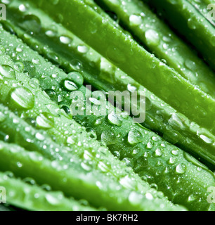 Blätter der Zwiebel Closeup mit Wassertropfen Stockfoto