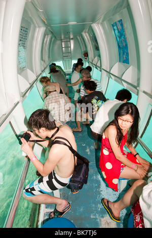 Touristen auf eine Semi-Submersible anzeigen das Great Barrier Reef vor Cairns in Queensland, Australien. Stockfoto