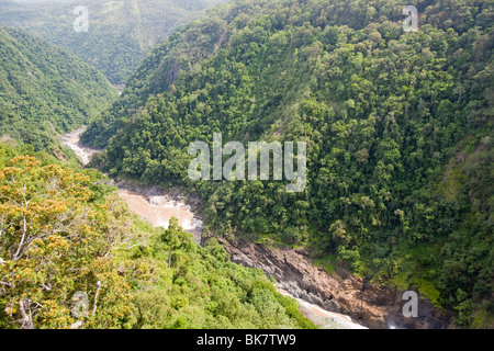 Die Barron unterschreitet Kuranda im Regenwald in Queensland, Australien. Stockfoto