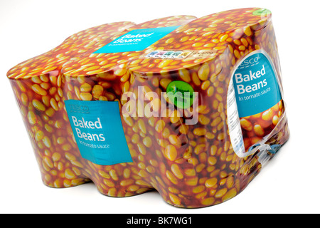 Six-Pack von Tesco Baked beans Stockfoto