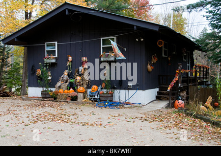 Halloween, Kürbisse, Autumn Harvest, Squash, Jack Lantern, anzeigen, Allerheiligen Stockfoto