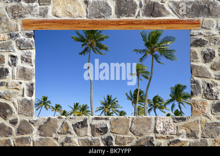 Fensterwand tropischer Palmen Bäume Steinmaurerarbeit anzeigen Stockfoto