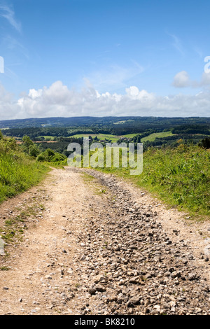 Maultierweg Fußweg über den North Downs Way in Surrey Hills, Ecke Newlands, Surrey, England, UK Stockfoto