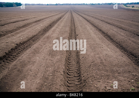 Tiefen Boden Furchen Acker Sutton Heath, Suffolk Stockfoto