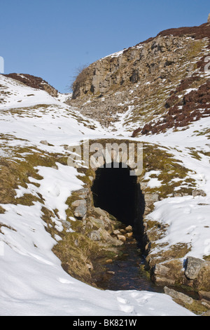 Führen Sie Mine Eingang, alten Bande Minen, Swaledale, North Yorkshire. Stockfoto