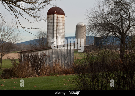 Eine Reihe von Silos auf einem Bauernhof im ländlichen Virginia im Herbst. Stockfoto