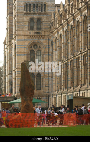 Natural History Museum London, April 2010 Stockfoto