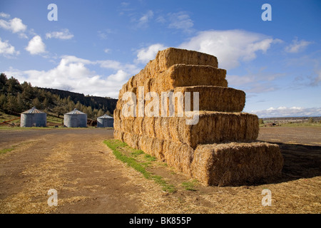 Riesige Heuballen Rasen gestapelt auf eine große Rinderfarm in Zentral-Oregon. Stockfoto