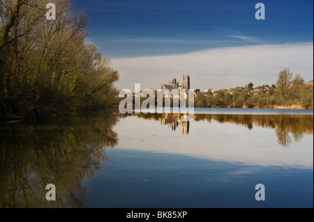 Roswell Gruben Nature Reserve, Ely, Cambridgeshire, mit Ely Kathedrale im Hintergrund Stockfoto