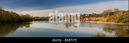 Panorama von Roswell Gruben Nature Reserve, Ely, Cambridgeshire, mit Ely Kathedrale im Hintergrund Stockfoto