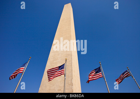 Amerikanischen Fahnen unter dem Washington Monument, Washington DC USA Stockfoto