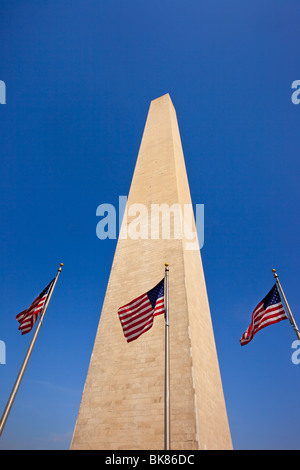 Amerikanischen Fahnen unter dem Washington Monument, Washington DC USA Stockfoto