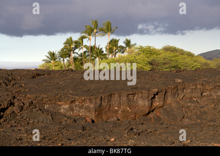 Lava-Wüste in der Nähe von Waikoloa auf Big Island, Hawaii, USA Stockfoto