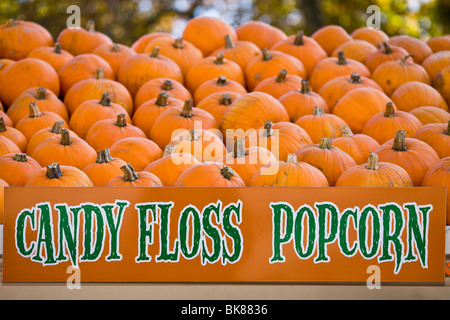 Candy Zuckerwatte und Popcorn Zeichen vor einem Haufen von Kürbissen Stockfoto