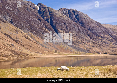 Aonach Eagach Ridge und Loch Achtriochtanin Glen Coe West Highlands Schottland Stockfoto