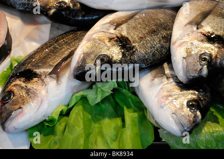 Fisch, Stand auf dem Rialto-Markt, Venedig, Veneto, Italien, Europa Stockfoto