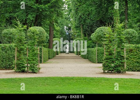 Hecken und Bäume beschnitten in Form, Barockgarten, Schloss Schwetzingen Schloss, Baden-Württemberg, Deutschland, Europa Stockfoto