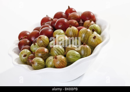 Rote und grüne Stachelbeeren in einer Porzellanschale Stockfoto