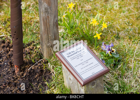 Ein Leben für ein Leben Denkmal Wald Bestände Stausee in Lancashire, UK. Stockfoto