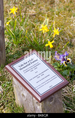 Ein Leben für ein Leben Denkmal Wald Bestände Stausee in Lancashire, UK. Stockfoto