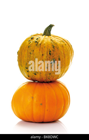 Kürbisse, Kürbisse, Zucchini (Cucurbita) Stockfoto