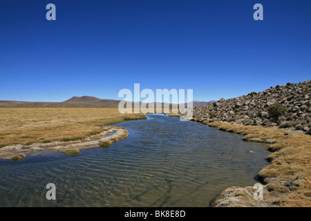 Fluss in Parinacota Stadt in Chile Stockfoto