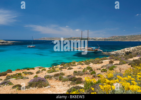 Ausflugsboote in die blaue Lagune von Comino, Malta, Europa Stockfoto