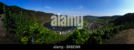 Sinuosity von der Mosel am Calmont Weinberg in der Nähe von Bremm, Rheinland-Pfalz, Deutschland, Europa Stockfoto