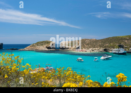 Blaue Lagune von Comino, Malta, Europa Stockfoto