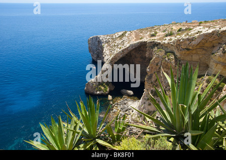 Blaue Grotte auf Malta, Europa Stockfoto