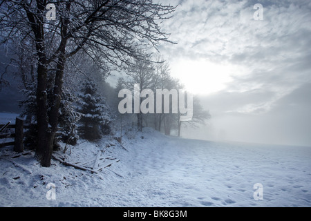 Neblige Atmosphäre im Maltatal Tal, Kärnten, Österreich, Europa Stockfoto