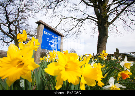 Brocklands Wald Grabstätte im Wigglesworth, Lancashire, UK. Stockfoto