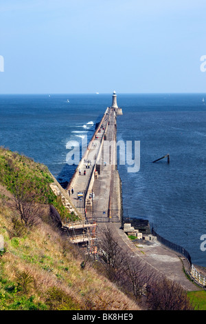 Tynemouth Leuchtturm, River Tyne Nordpier. Aus dem Gelände des Schlosses Priory betrachtet Stockfoto