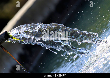Strom des Wassers squirting vom Auswurfkrümmer in Damm, Provinz Western Cape, Südafrika. Stockfoto