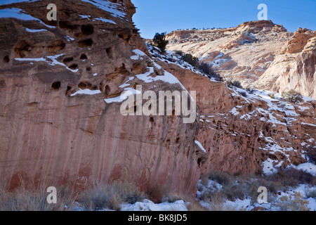 Die Löcher, die die Sandsteinfelsen im Capitol Reef National Park in Torrey, Utah pockmark bildeten sich durch Wasserbecken. Stockfoto