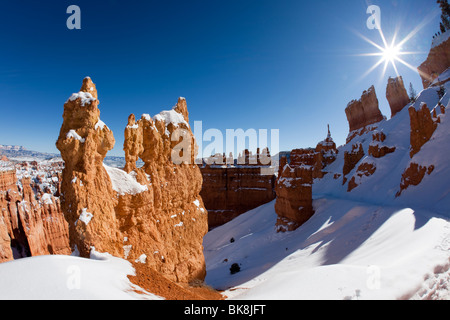 Hoodoos steigen auf allen Seiten des Bryce Canyon Nationalpark Navajo Loop Trail im südlichen Utah. Stockfoto