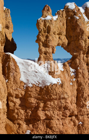 Hoodoos steigen auf allen Seiten des Bryce Canyon Nationalpark Navajo Loop Trail im südlichen Utah. Stockfoto