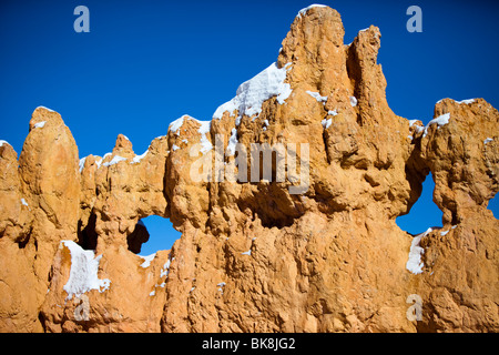 Hoodoos steigen auf allen Seiten des Bryce Canyon Nationalpark Navajo Loop Trail im südlichen Utah. Stockfoto