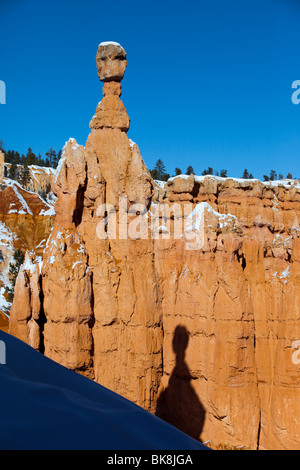 Hoodoos steigen auf allen Seiten des Bryce Canyon Nationalpark Navajo Loop Trail im südlichen Utah. Stockfoto