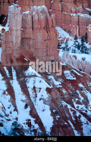 Hoodoos steigen auf allen Seiten des Bryce Canyon Nationalpark Queens Garden Trail im südlichen Utah. Stockfoto