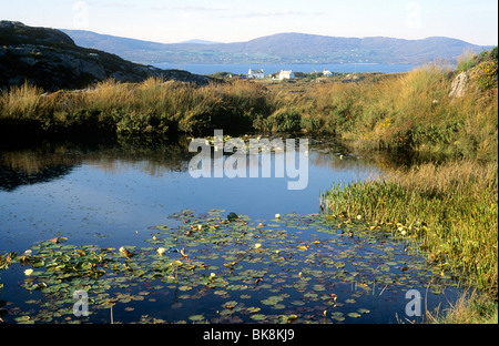 Mizen Halbinsel, Blick auf Dunmanus Bay, County Cork, Irland-Eire irischen Küste Küstenlandschaft Küsten Stockfoto