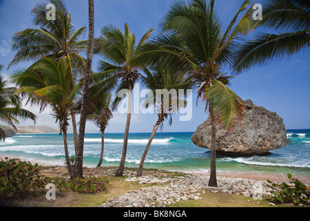 Bathsheba, Ostküste, Barbados, Caribbean Stockfoto
