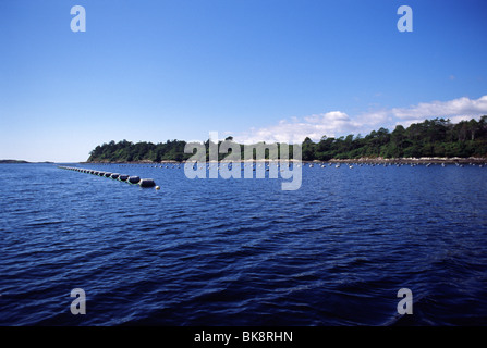 Irlands Atlantikküste in der Nähe der Stadt Sneem, wie gesehen von einem Boot (County Kerry, Irland, im September 2009) Stockfoto