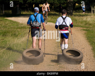 Zwei Männer Fitness training / Ausübung durch Ziehen der Reifen beim Nordic walking. Richmond Park. Richmond. London. VEREINIGTES KÖNIGREICH. Stockfoto