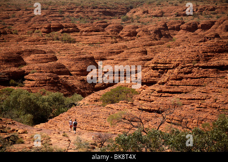 Kings Canyon, Teil des Watarrka National Park, Northern Territory, Australien Stockfoto