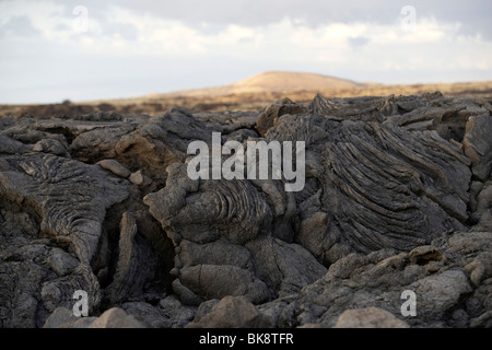 Lava-Wüste in der Nähe von Waikoloa auf Big Island, Hawaii, USA Stockfoto