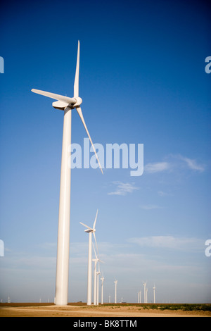 USA, Texas, Roscoe Grafschaft, West Texas Windkraftanlagen Stockfoto