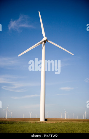 USA, Texas, Roscoe Grafschaft, West Texas Windkraftanlagen Stockfoto