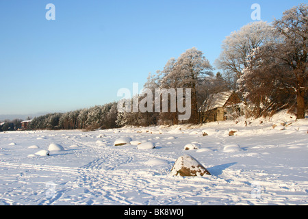 Winterlandschaft am Baltischen Meer in der Nähe der Stadt Tallinn in Estland Stockfoto